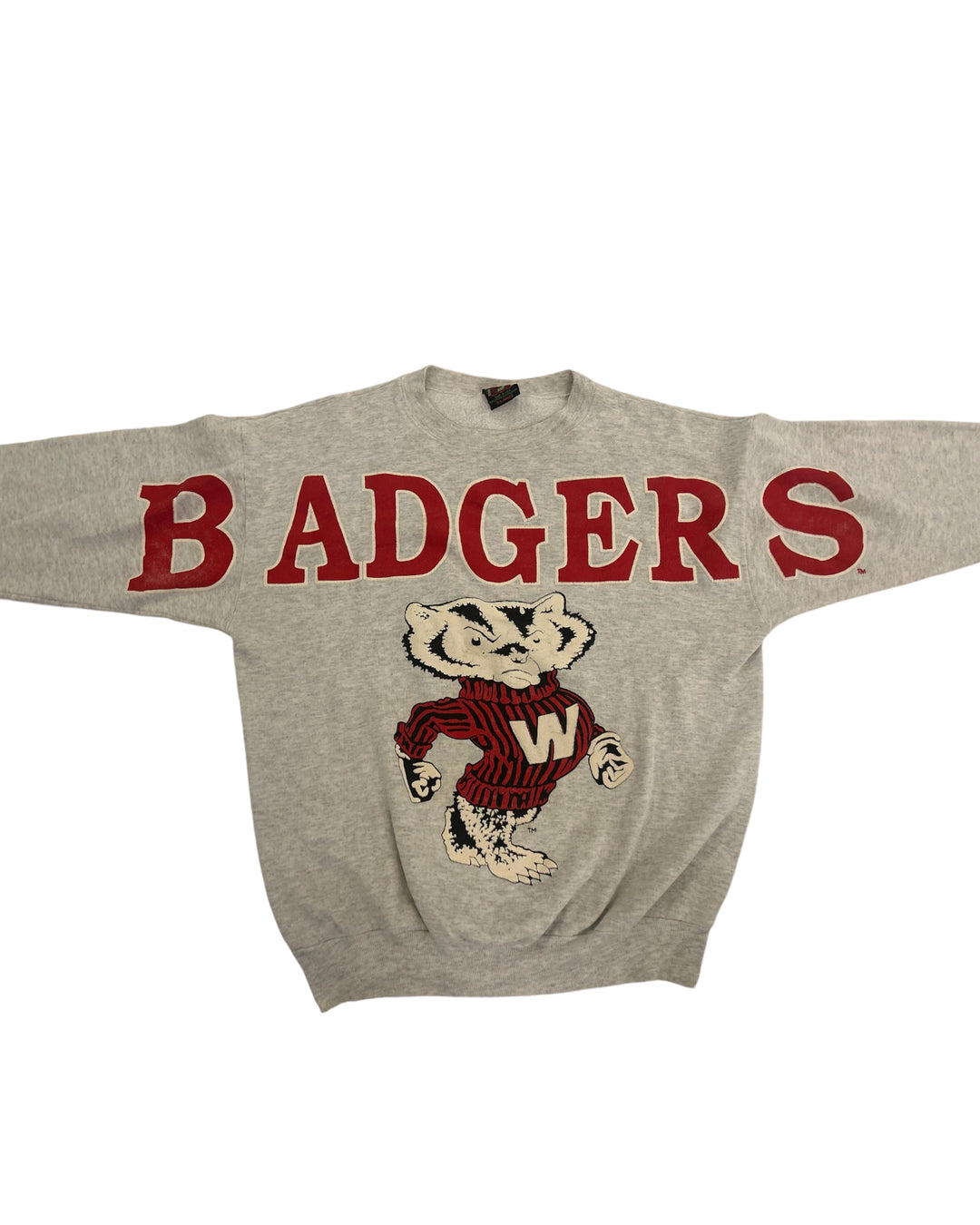 Wisconsin Vintage Sweatshirt