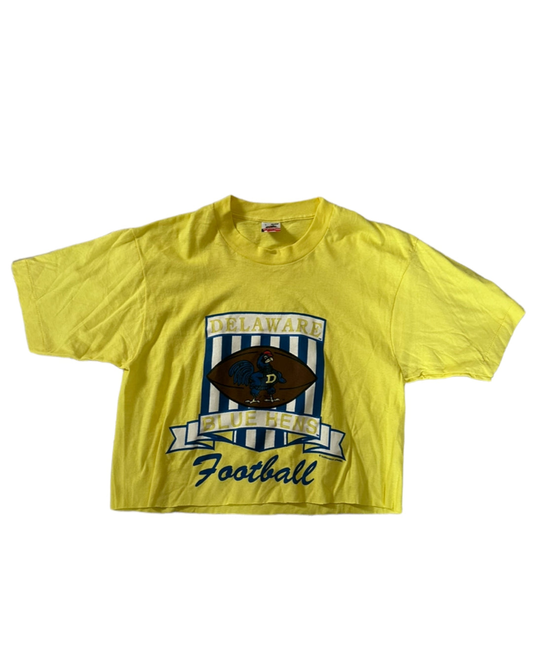Delaware Vintage Cropped T-Shirt