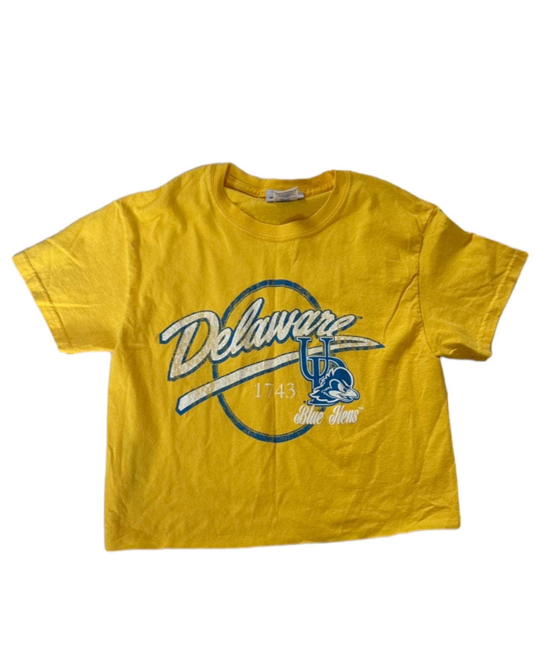 Delaware Vintage Cropped T-Shirt