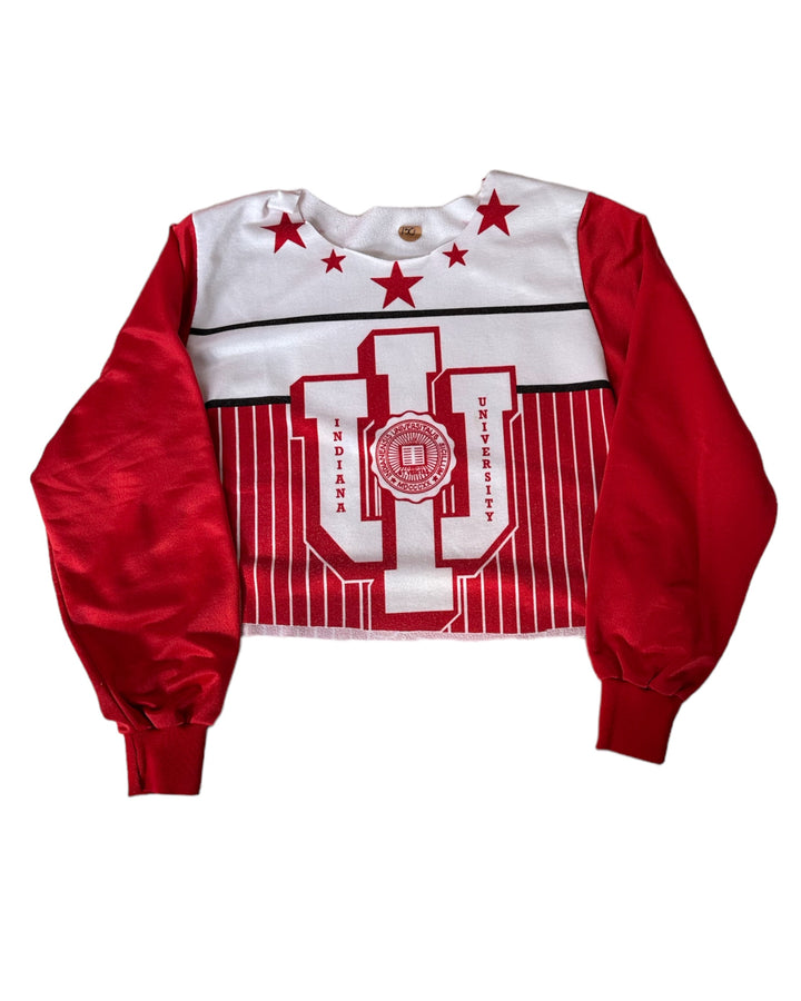 Indiana Vintage Double Side Cropped Sweatshirt