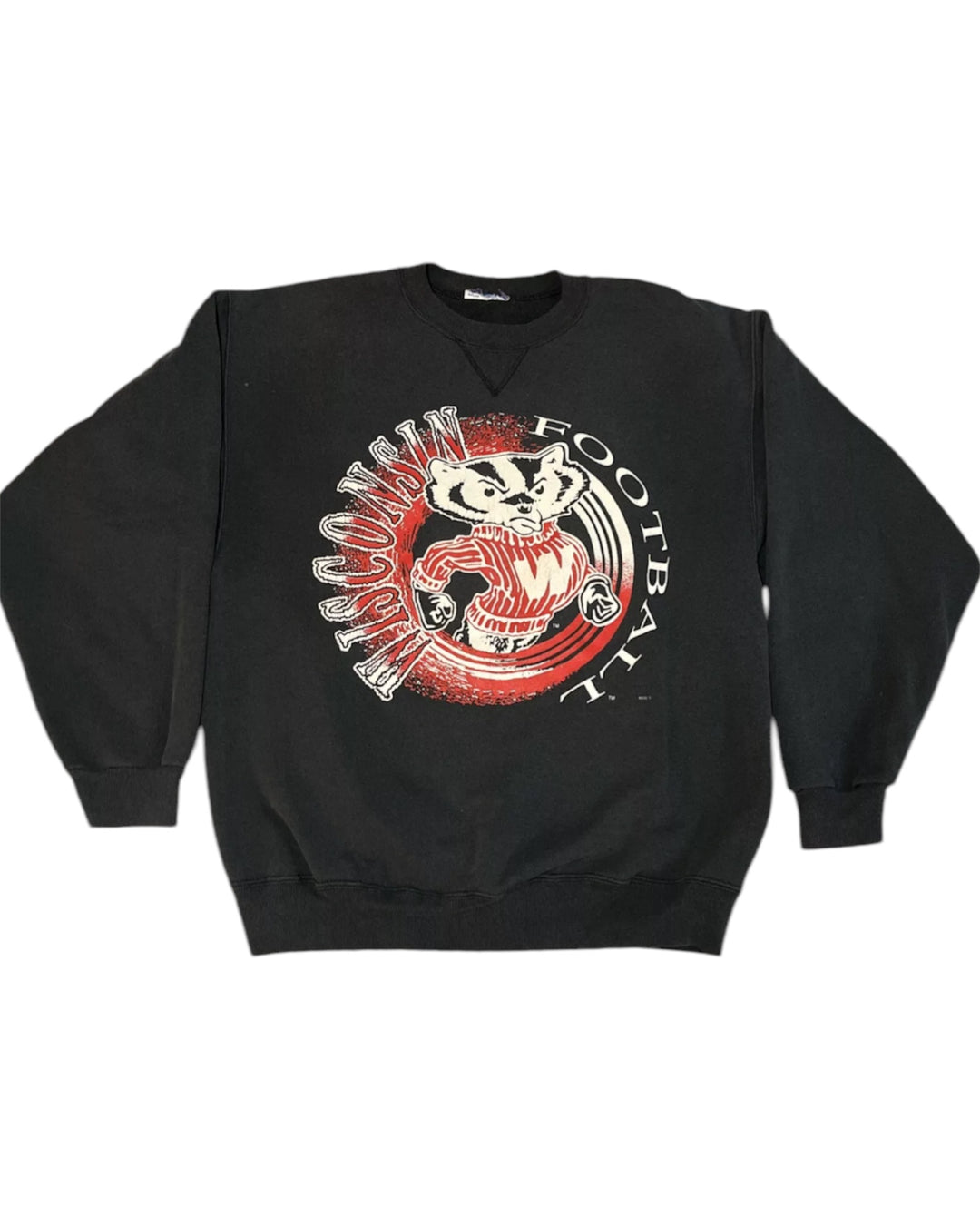 Wisconsin Vintage Sweatshirt