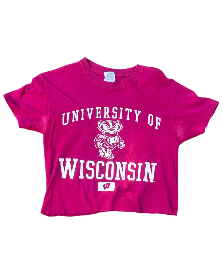 Wisconsin Vintage Cropped T-Shirt