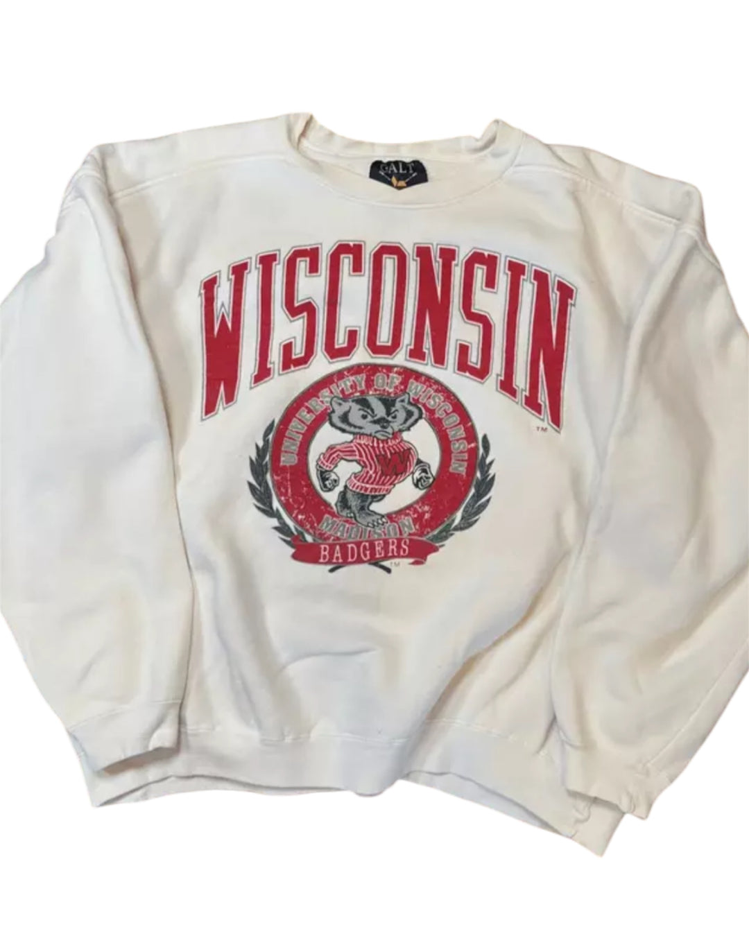 Wisconsin Vintage Sweatshirt