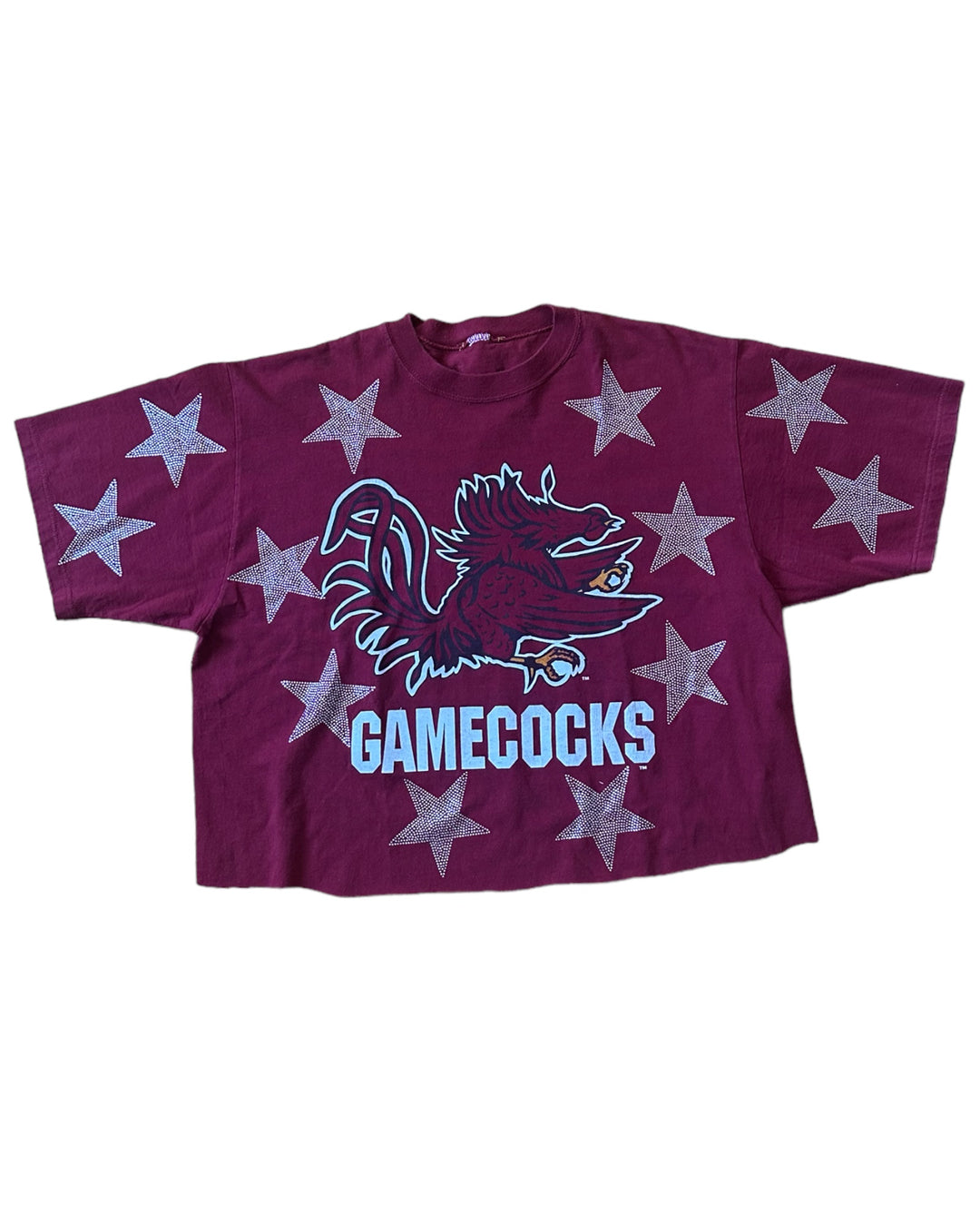 South Carolina Vintage T-Shirt