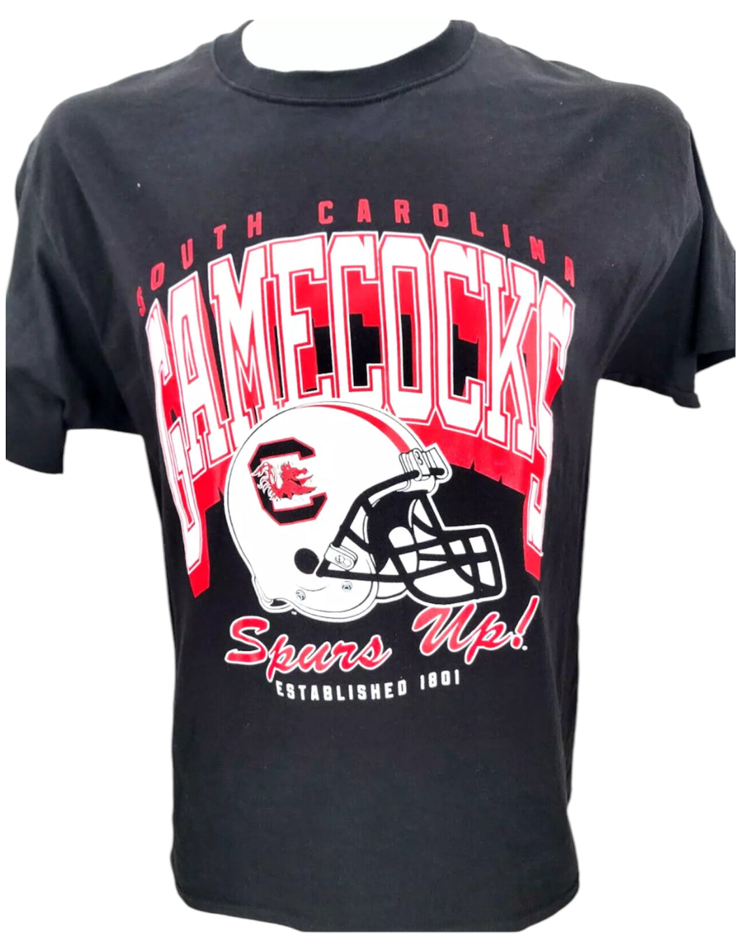 South Carolina Vintage T-Shirt