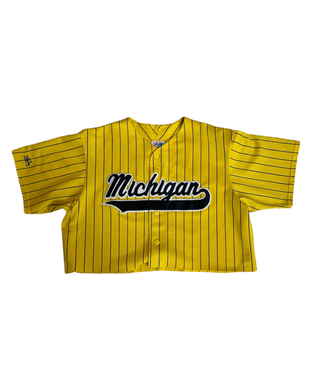 Michigan Vintage Cropped Jersey