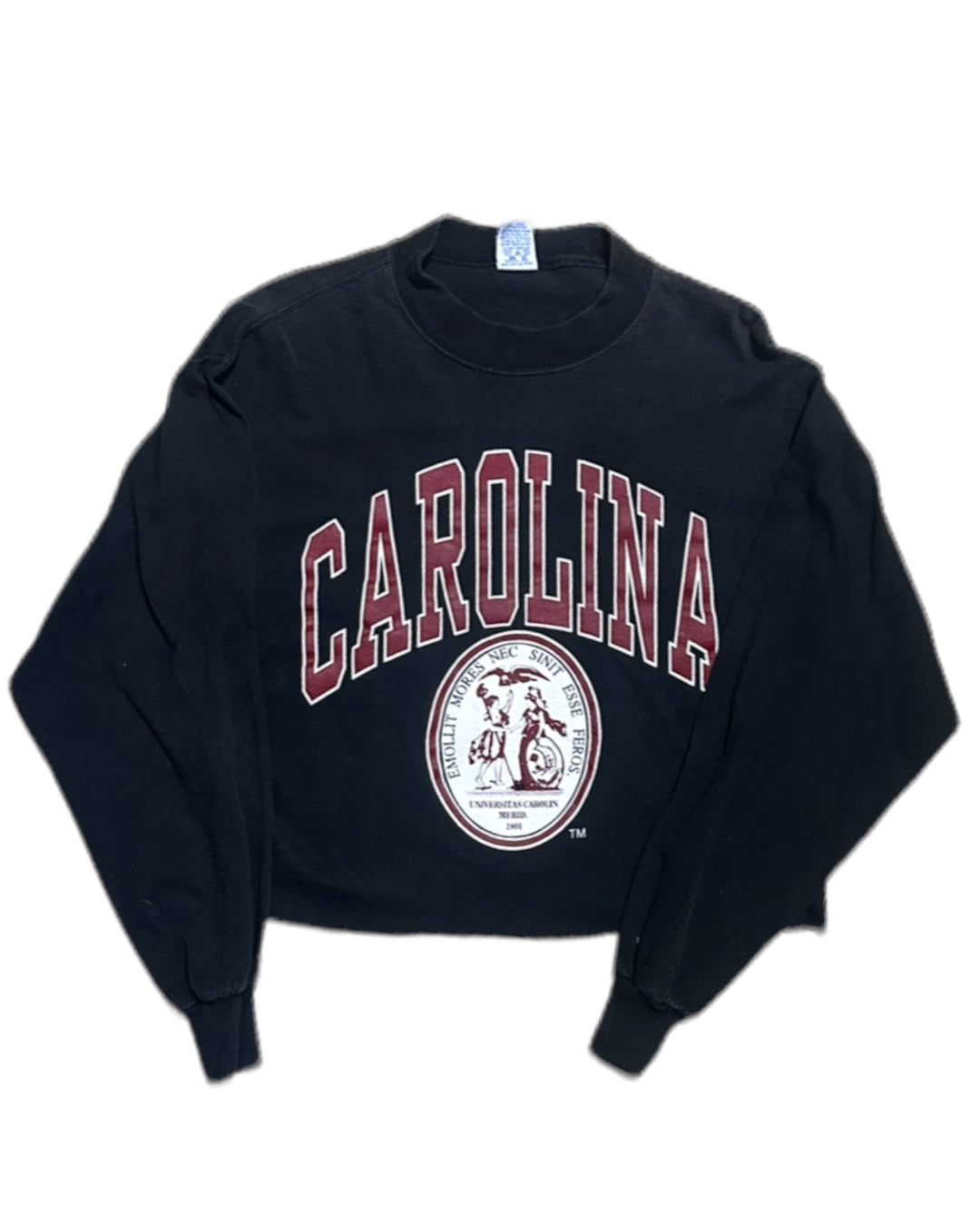 South Carolina Vintage Cropped Long Sleeve