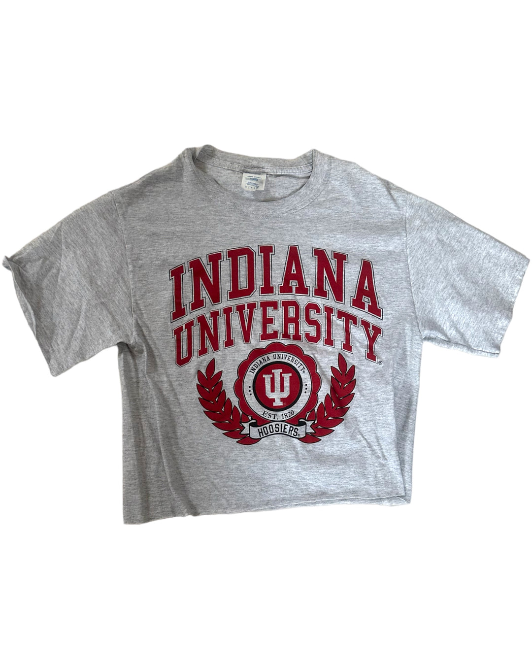 Indiana Vintage Cropped T-Shirt