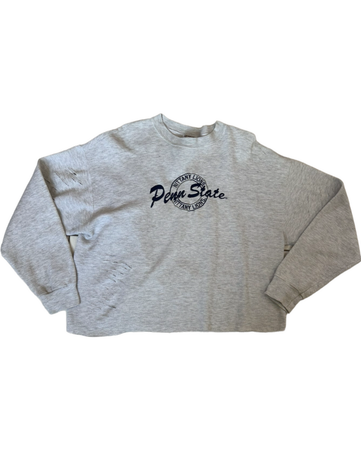 WE ARE Penn State Vintage Crewneck