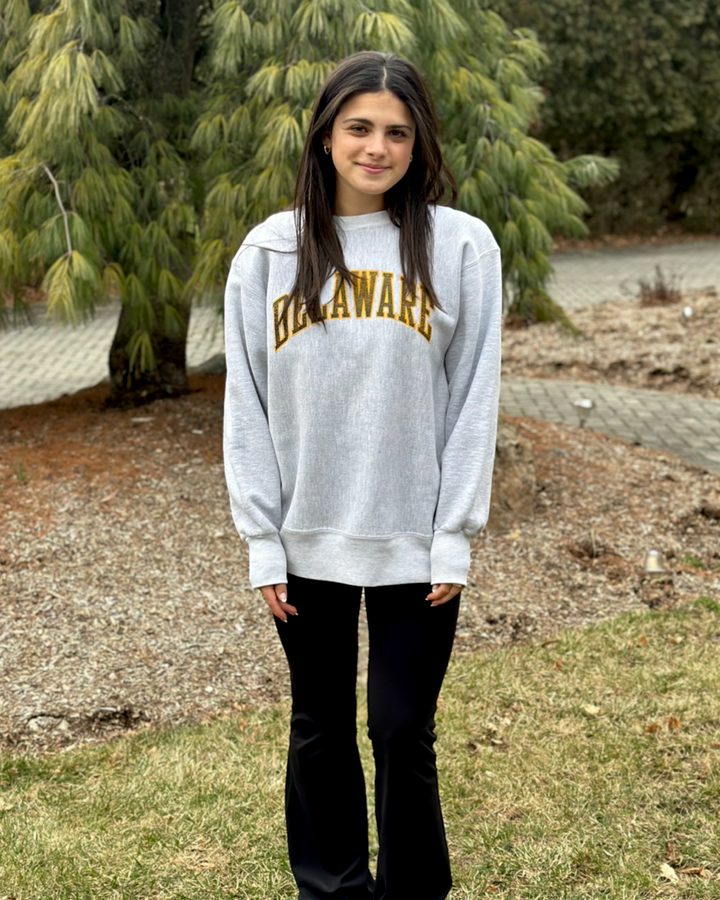 Delaware Vintage Sweatshirt
