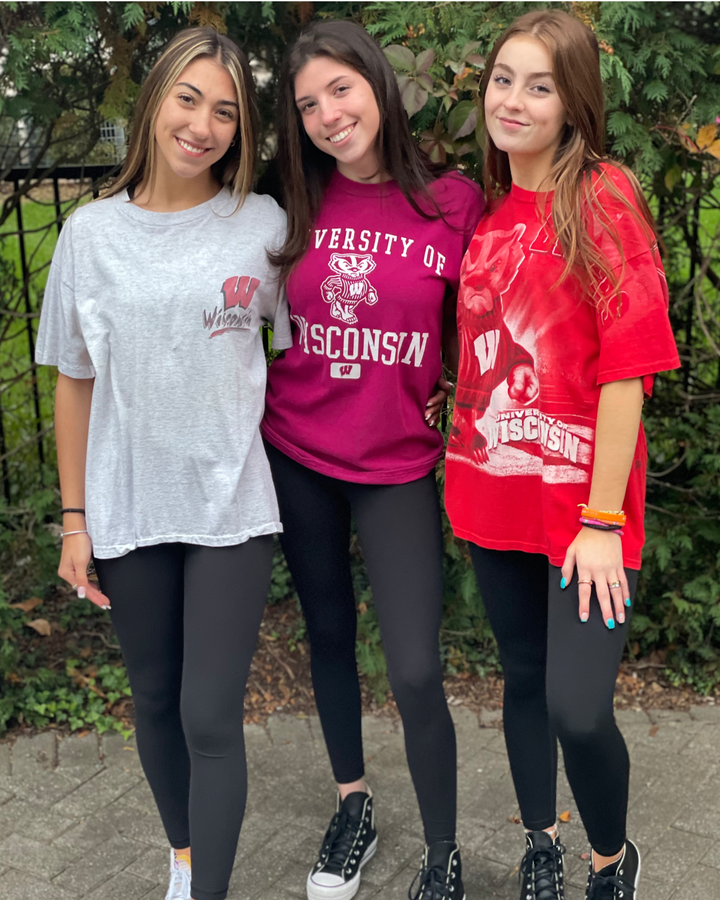 Wisconsin Vintage Cropped T-Shirt