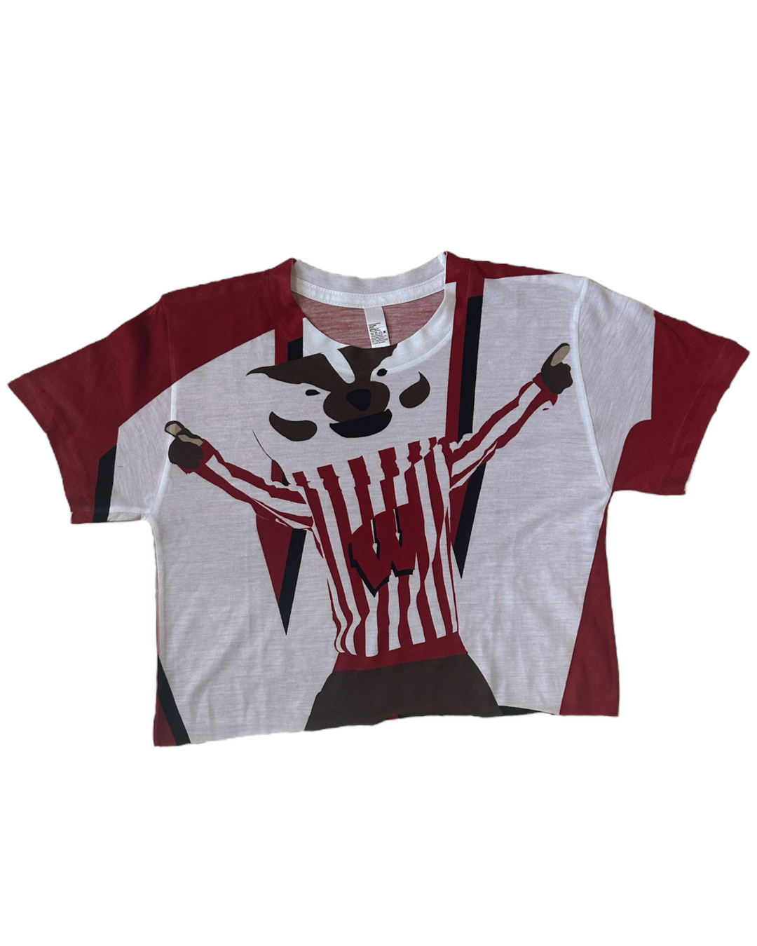 Wisconsin Vintage T-Shirt