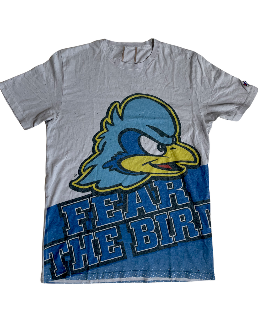 Delaware Vintage T-Shirt