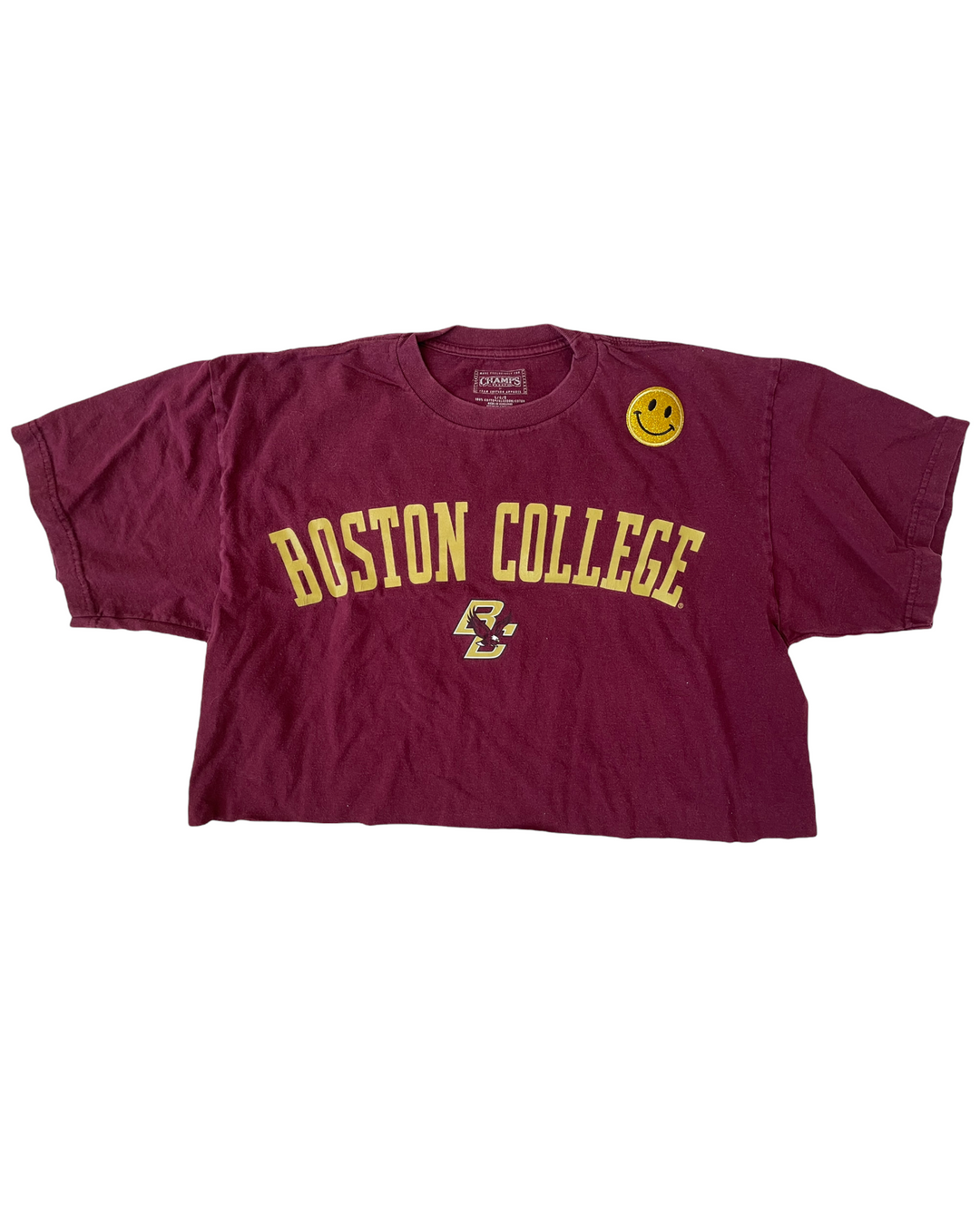 BC Vintage Cropped T-Shirt