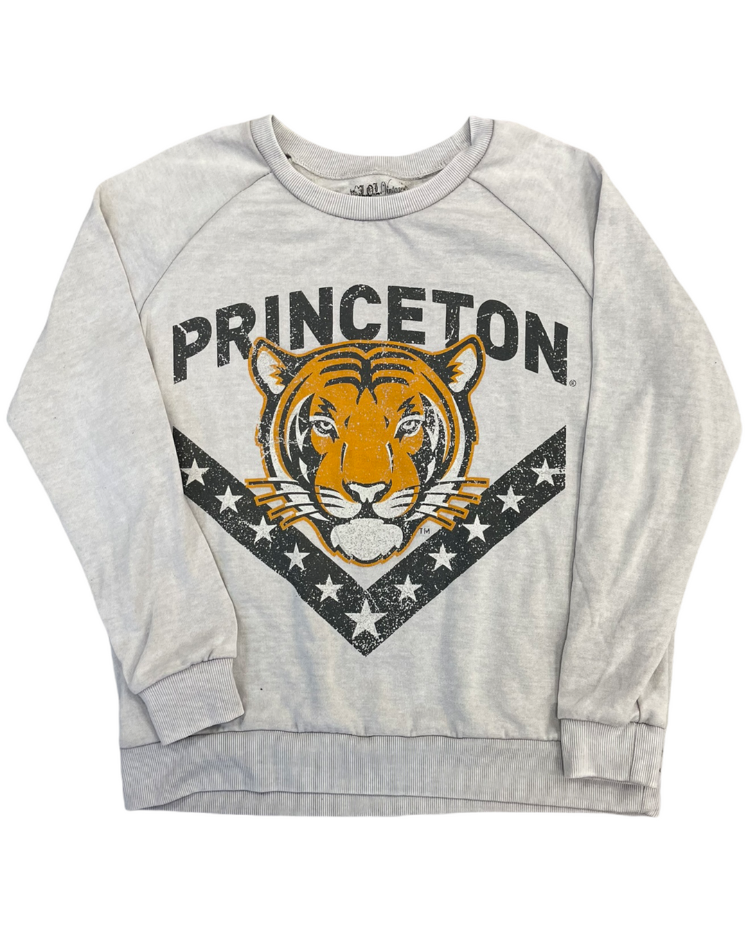 Princeton Vintage Sweatshirt