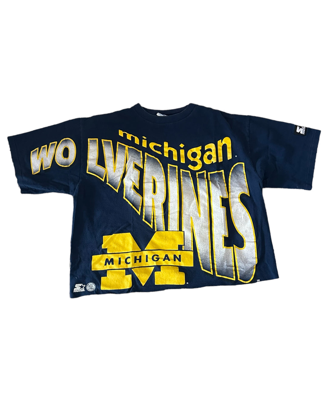 Michigan Vintage Cropped T-Shirt