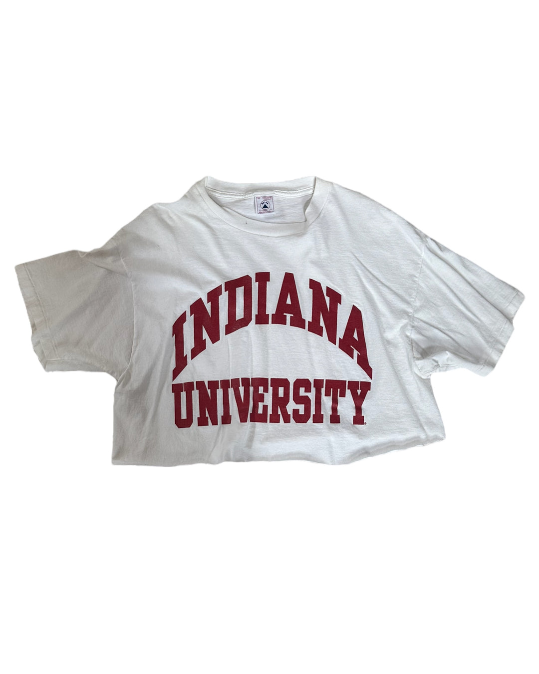 Indiana Vintage Cropped T-Shirt