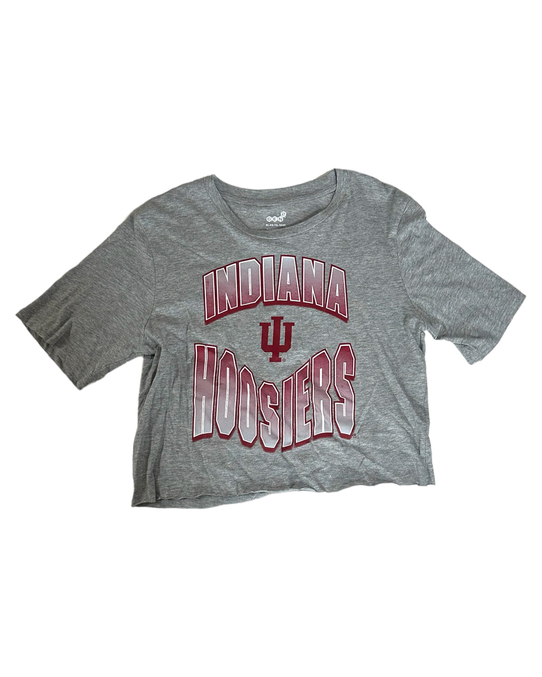 Indiana Vintage Cropped T-Shirt