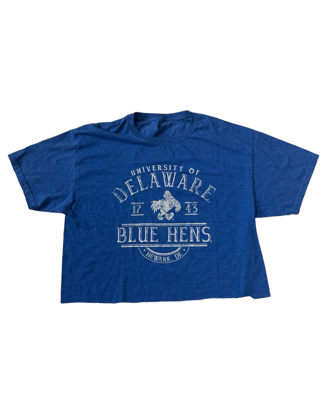 Delaware Vintage Cropped T-Shirt