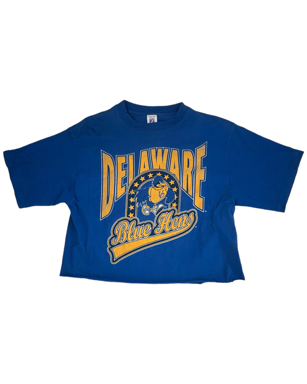 Delaware Vintage Cropped T-Shirt