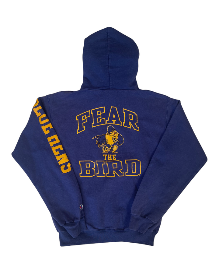 Delaware Vintage Double Sided Graphic Sweatshirt