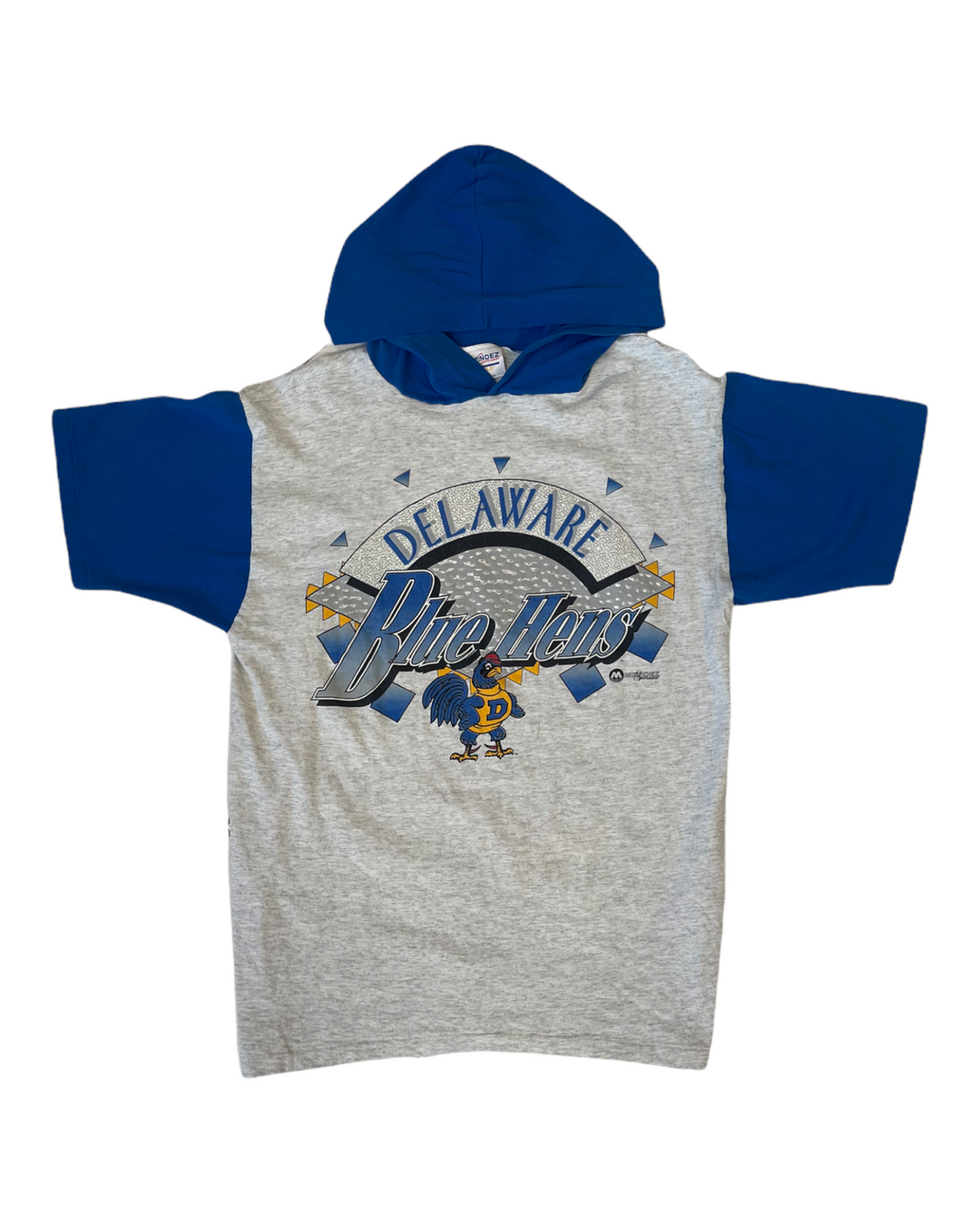 Delaware Vintage Graphic Hooded T-Shirt