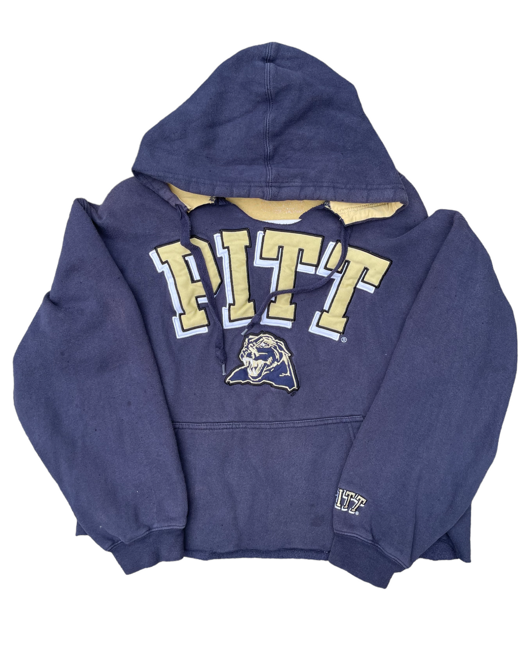 Pitt Vintage Sweatshirt
