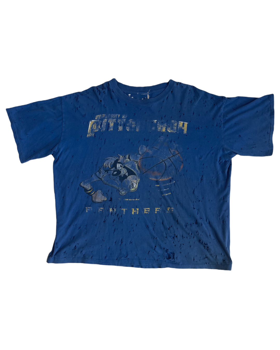 Pitt Vintage T-Shirt
