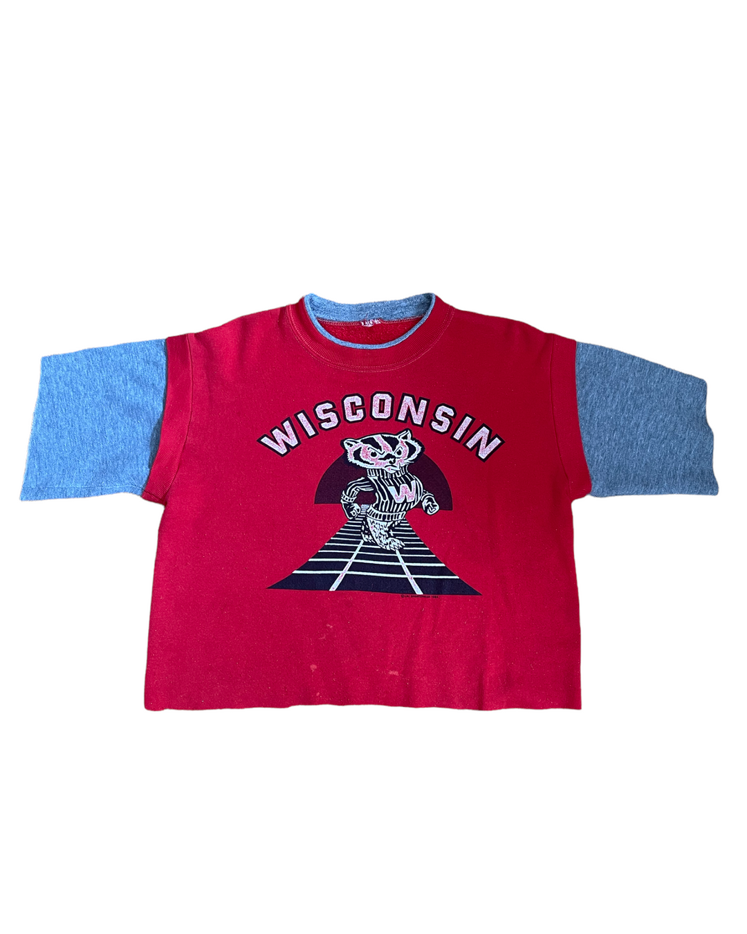 Wisconsin Vintage Sweatshirt/Cut Tee