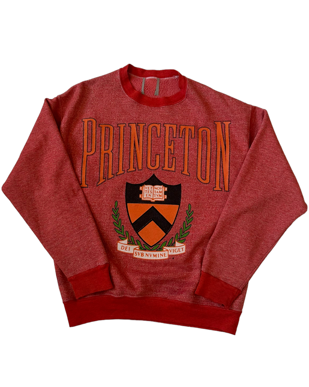 Princeton Vintage Reworked Dyed Sweatshirt