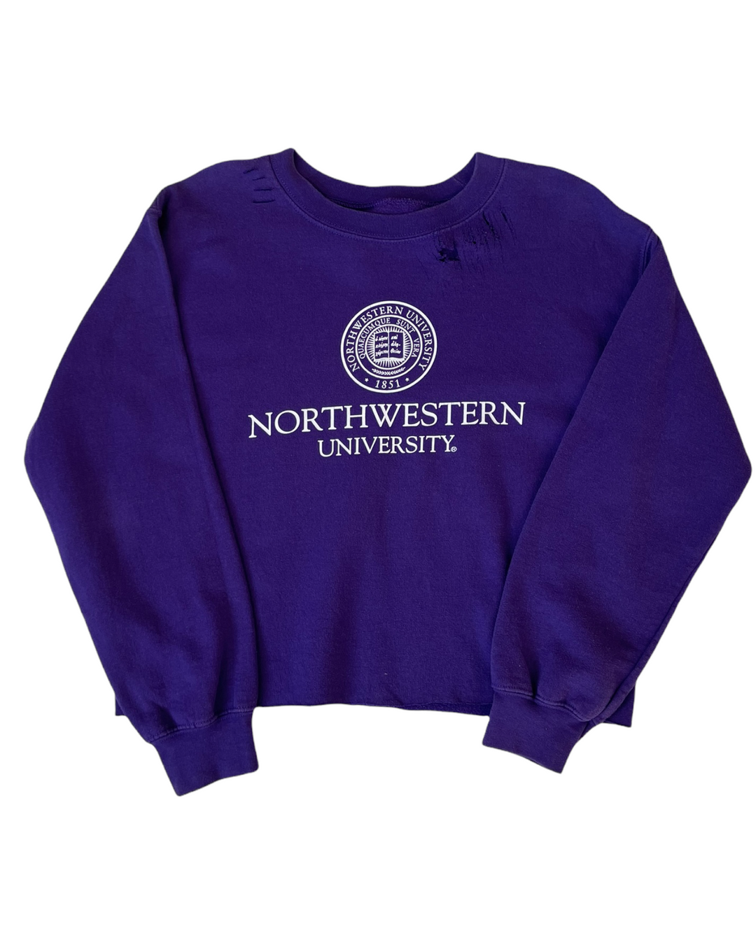 Northwestern Cropped and Distressed Vintage Sweatshirt
